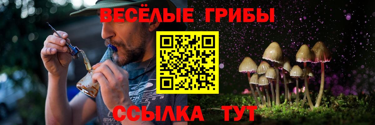 Псилоцибиновые грибы мицелий Южно-Сахалинск