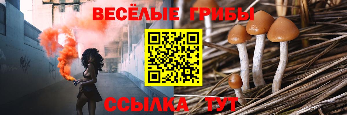 дарнет шоп  Псилоцибиновые грибы мухоморы  Вход с VPN  Галлюциногенные грибы GOLDEN TEACHER  Южно-Сахалинск 